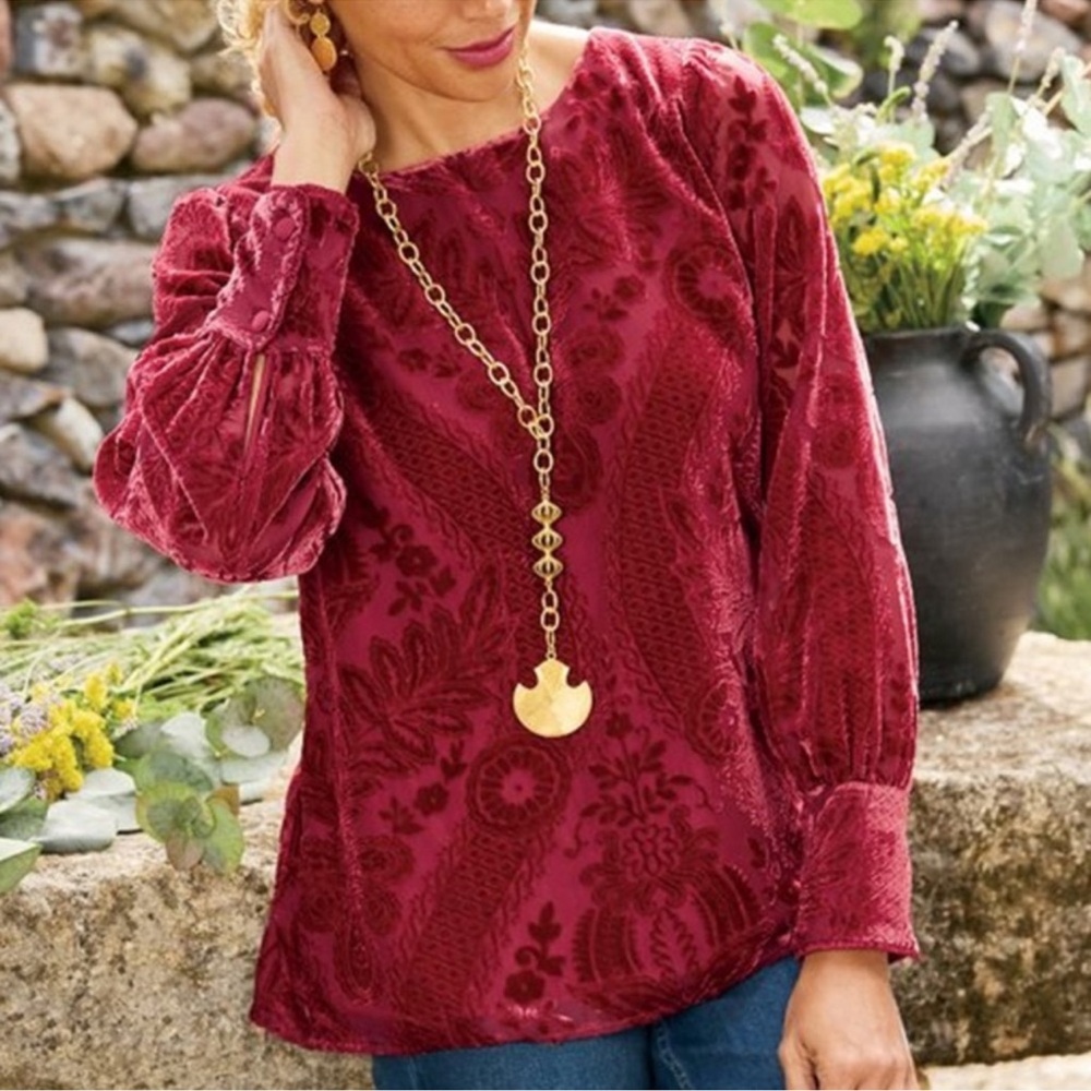 Soft Surroundings Vanetta Velvet Top Womens Size Large Whimsigoth Renaissance